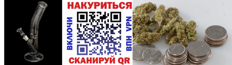 Какие есть наркотики Новороссийск Alpha-PVP ГАШ Псилоцибиновые грибы гидра вход Каннабис