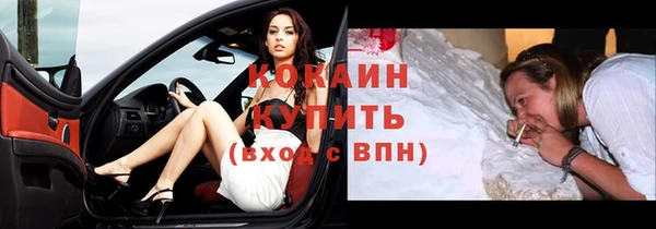 прущие грибы Верея