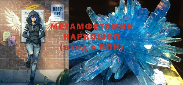 прущие грибы Верея