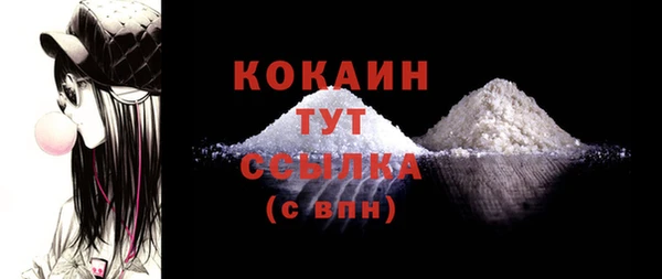 прущие грибы Верея