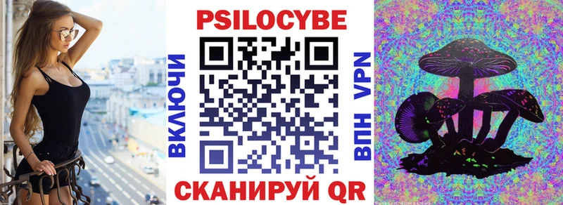 Псилоцибиновые грибы Cubensis  Новороссийск 
