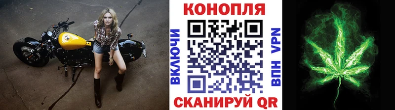 МАРИХУАНА план  KRAKEN маркетплейс  Новороссийск 